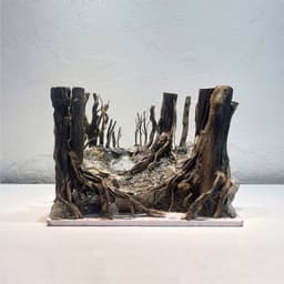 Layout Rừng Ver.14 | Layout Thuỷ Sinh Chế Tác Thủ Công | Nhiều Kích Thước Cho Bể Thuỷ Sinh | RF Aquarium 5