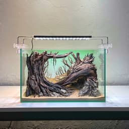 Layout Rừng Ver.8 | Layout Thuỷ Sinh Được Chế Tác Thủ Công Nhiều Kích Thước | RF Aquarium 3