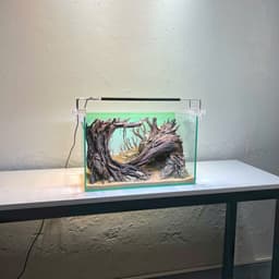 Layout Rừng Ver.8 | Layout Thuỷ Sinh Được Chế Tác Thủ Công Nhiều Kích Thước | RF Aquarium 5