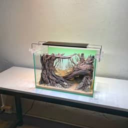 Layout Rừng Ver.8 | Layout Thuỷ Sinh Được Chế Tác Thủ Công Nhiều Kích Thước | RF Aquarium 4