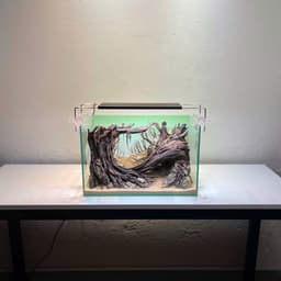 Layout Rừng Ver.8 | Layout Thuỷ Sinh Được Chế Tác Thủ Công Nhiều Kích Thước | RF Aquarium 6