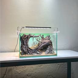 Layout Rừng Ver.8 | Layout Thuỷ Sinh Được Chế Tác Thủ Công Nhiều Kích Thước | RF Aquarium 7