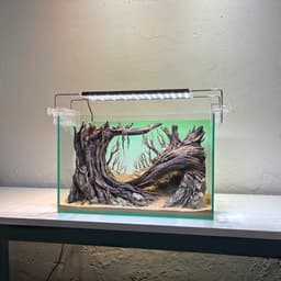 Layout Rừng Ver.8 | Layout Thuỷ Sinh Được Chế Tác Thủ Công Nhiều Kích Thước | RF Aquarium 8