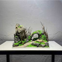 Layout Thuỷ Sinh Hang Động Ver.2 l Layout Nổi Bật Dùng Trang Trí Bể Cá Thủy Sinh Mini | RF Aquarium 3