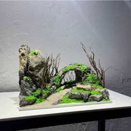 Layout Thuỷ Sinh Hang Động Ver.2 l Layout Nổi Bật Dùng Trang Trí Bể Cá Thủy Sinh Mini | RF Aquarium 5