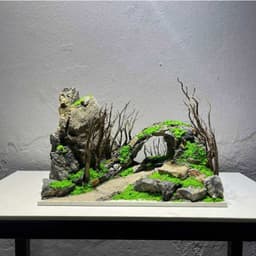 Layout Thuỷ Sinh Hang Động Ver.2 l Layout Nổi Bật Dùng Trang Trí Bể Cá Thủy Sinh Mini | RF Aquarium 6