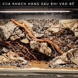 Layout Vách Suối Ver.2 Đá Da Voi | Chế Tác Từ Nguyên Liệu Tự Nhiên An Toàn Cho Cá Tép | RF Aquarium 5