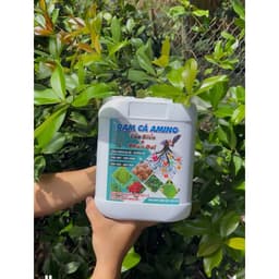 ĐẠM CÁ AMINO GIÚP CÂY BUNG CÀNH, ĐẺ NHÁNH, ĐÂM CHỒI MẠNH, DƯỠNG RỄ,LỚN TRÁI, ĐẬU TRÁI TINH CHẤT CÔ ĐẶC CAN 5 LÍT 5