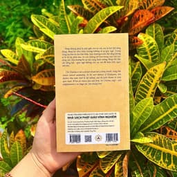 Sách - Chạm Đến Giác Ngộ - Vĩnh Nghiêm Books 6