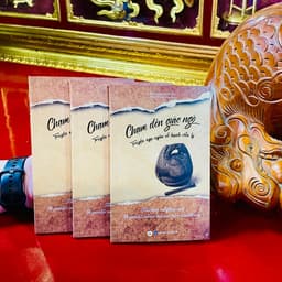 Sách - Chạm Đến Giác Ngộ - Vĩnh Nghiêm Books 7