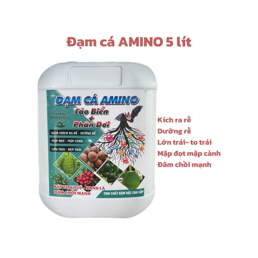 ĐẠM CÁ AMINO GIÚP CÂY BUNG CÀNH, ĐẺ NHÁNH, ĐÂM CHỒI MẠNH, DƯỠNG RỄ,LỚN TRÁI, ĐẬU TRÁI TINH CHẤT CÔ ĐẶC CAN 5 LÍT