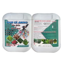 ĐẠM CÁ AMINO GIÚP CÂY BUNG CÀNH, ĐẺ NHÁNH, ĐÂM CHỒI MẠNH, DƯỠNG RỄ,LỚN TRÁI, ĐẬU TRÁI TINH CHẤT CÔ ĐẶC CAN 5 LÍT 2