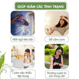 Túi thơm thảo dược giúp ngủ ngon, giảm căng thẳng, khử mùi, thơm phòng Thảo mộc An Diên 5