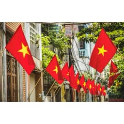 Lá Cờ Tổ Quốc To, Cờ Đảng búa liềm -Lá Cờ đỏ sao vàng Quốc Kỳ Việt Nam,Cờ Đội,Cờ Đoàn treo Tết, nhà cửa,đường phố 5