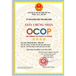 Combo 3 Túi Thạch Nha Đam Aloka Túi 1 Kg Giòn Thơm Ngon Dùng Liền Hoặc Pha Chế - KAIZENCO , dokhogiasi 8