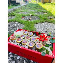 Túi đựng quà tặng, giỏ quà tặng. Sang trọng 8