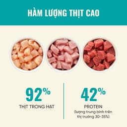Thức ăn cho Mèo Cao Cấp Bite of Wild P42 Gói 1KG 42% Đạm, Không Chứa Ngũ Cốc, Tiêu Hoá - MÉO CHÒ UNI 2