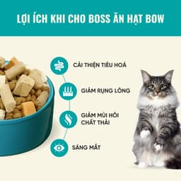 Thức ăn cho Mèo Cao Cấp Bite of Wild P42 Gói 1KG 42% Đạm, Không Chứa Ngũ Cốc, Tiêu Hoá - MÉO CHÒ UNI 5