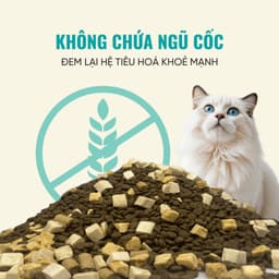 Thức ăn cho Mèo Cao Cấp Bite of Wild P42 Gói 1KG 42% Đạm, Không Chứa Ngũ Cốc, Tiêu Hoá - MÉO CHÒ UNI 7