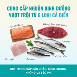 Hạt cho mèo Bite of Wild F42 gói 1KG công thức 6 loại cá biển, không chứa ngũ cốc - MÉO CHÒ UNI 2