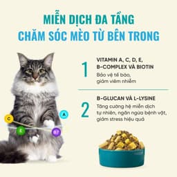 Hạt cho mèo Bite of Wild F42 gói 1KG công thức 6 loại cá biển, không chứa ngũ cốc - MÉO CHÒ UNI 6