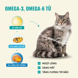 Hạt cho mèo Bite of Wild F42 gói 1KG công thức 6 loại cá biển, không chứa ngũ cốc - MÉO CHÒ UNI 8