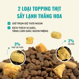 Hạt cho mèo Bite of Wild F42 gói 1KG công thức 6 loại cá biển, không chứa ngũ cốc - MÉO CHÒ UNI 4