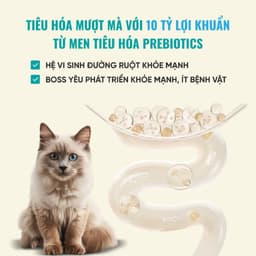 Hạt cho mèo Bite of Wild F42 gói 1KG công thức 6 loại cá biển, không chứa ngũ cốc - MÉO CHÒ UNI 9
