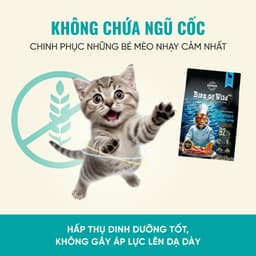 Hạt cho mèo Bite of Wild F42 gói 1KG công thức 6 loại cá biển, không chứa ngũ cốc - MÉO CHÒ UNI 5