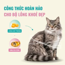 Thức ăn cho mèo Bite Of Wild K42 gói 1KG vị cá ngừ công thức sữa dê cho mèo con - MÉO CHÒ UNI 5