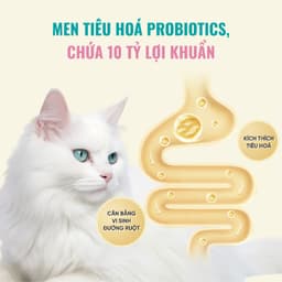 Thức ăn cho mèo Bite Of Wild K42 gói 1KG vị cá ngừ công thức sữa dê cho mèo con - MÉO CHÒ UNI 8