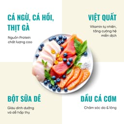 Thức ăn cho mèo Bite Of Wild K42 gói 1KG vị cá ngừ công thức sữa dê cho mèo con - MÉO CHÒ UNI 6