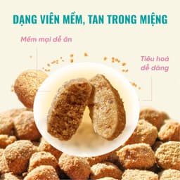 Thức ăn cho mèo Bite Of Wild K42 gói 1KG vị cá ngừ công thức sữa dê cho mèo con - MÉO CHÒ UNI 2