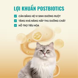 Hạt cho mèo Bite of Wild B45 gói 1KG, đạm cao 45%, hạt nhân thịt, công thức cá & gà- MÉO CHÒ UNI 8