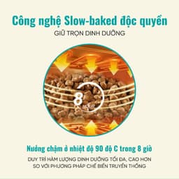 Hạt cho mèo Bite of Wild B45 gói 1KG, đạm cao 45%, hạt nhân thịt, công thức cá & gà- MÉO CHÒ UNI 2