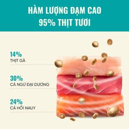 Hạt cho mèo Bite of Wild B45 gói 1KG, đạm cao 45%, hạt nhân thịt, công thức cá & gà- MÉO CHÒ UNI 9