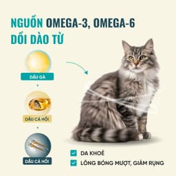 Hạt cho mèo Bite of Wild B45 gói 1KG, đạm cao 45%, hạt nhân thịt, công thức cá & gà- MÉO CHÒ UNI 7