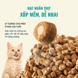 Hạt cho mèo Bite of Wild B45 gói 1KG, đạm cao 45%, hạt nhân thịt, công thức cá & gà- MÉO CHÒ UNI 6