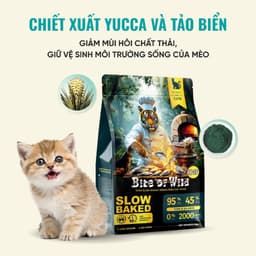 Hạt cho mèo Bite of Wild B45 gói 1KG, đạm cao 45%, hạt nhân thịt, công thức cá & gà- MÉO CHÒ UNI 4