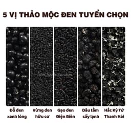 Trà ngũ hắc An Diên, trà thảo mộc hỗ trợ giảm rụng tóc, mọc tóc,  đen tóc, trà bổ khí huyết, mát gan 4