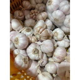 1kg Tỏi Nhập Khẩu Củ Tròn Đều Đẹp Chắc Củ, Tỏi Lựa Đẹp Ít Vỡ 2