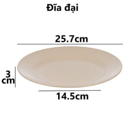 Đĩa Nhựa Tròn Phip Dày, Đĩa Đựng Thức Ăn Sang Trọng Dùng Gia Đình Nhà Hàng - DOMUS 6