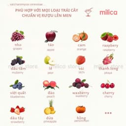[KHO SỈ] Men ủ trái cây, men thực phẩm lên men hoa quả Angel , gói 3gram ủ được 15kg trái cây 2