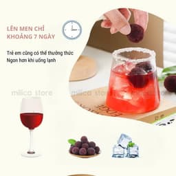 [KHO SỈ] Men ủ trái cây, men thực phẩm lên men hoa quả Angel , gói 3gram ủ được 15kg trái cây 3