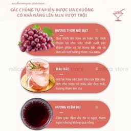 [KHO SỈ] Men ủ trái cây, men thực phẩm lên men hoa quả Angel , gói 3gram ủ được 15kg trái cây 4