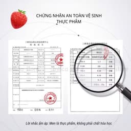 [KHO SỈ] Men ủ trái cây, men thực phẩm lên men hoa quả Angel , gói 3gram ủ được 15kg trái cây 8