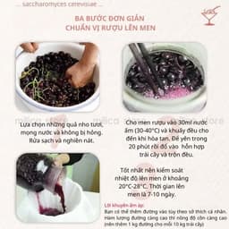 [KHO SỈ] Men ủ trái cây, men thực phẩm lên men hoa quả Angel , gói 3gram ủ được 15kg trái cây 5