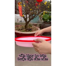 Khay Nhựa Tròn Đựng Thực Phẩm, Khay Thái 3T6 4T Đựng Hoa Quả Việt Nhật 5623/5624 - DOMUS 9