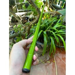 Cần Câu Đài Trúc Xanh 3H Combo Câu Tay Giá Rẻ Kèm Phụ Kiện Chất Lượng 4