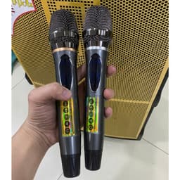 Loa Kéo Tủ DPAu 1522. 4 Tấc. 2 Mic và DPAu T10 3